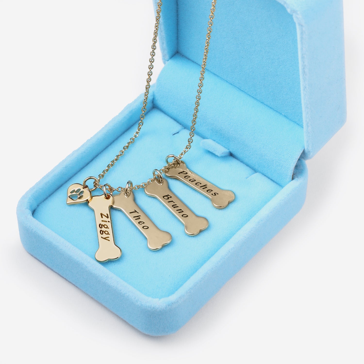 Collier Os Personnalisé Au Nom De Votre Animal